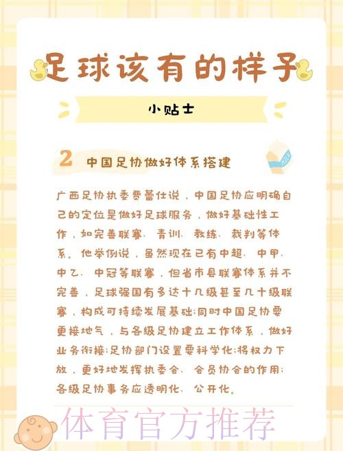 中国足球系列报道之二：职业足球在曲折中成长